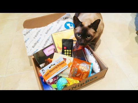 MY CAT'S FIRST SUBSCRIPTION BOX! Kitnipbox unboxing review ...