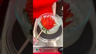 Celebrity Strawberry Candy Roses are the perfect gift! 🌹 Profile
