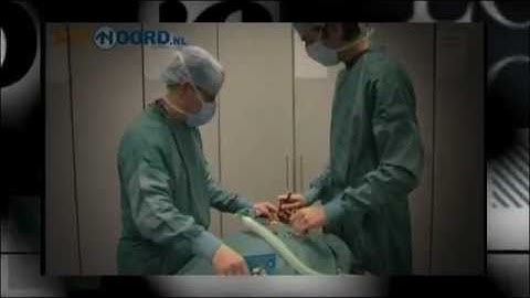 Verdeling van het honorariumbudget in 2012