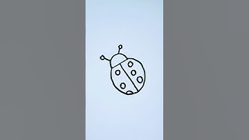 How to draw ladybug 🐞 drawing easy step by step #drawing #howtodraw #how (475)