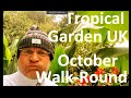 Tropical garden uk  october autumn walkround