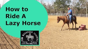 Horse Training Tips: Fixing Laziness and Steering
