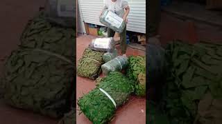 Отделение АБСОЛЮТ, как всегда МОЛОДЦЫ👍маскировочные сети для наших бойцов на СВО 🇷🇺✌️ #россия #днр
