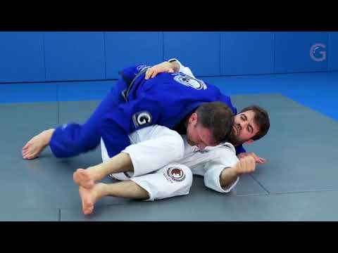 An antidote against the double-underhook butterfly guard - Shawn Williams