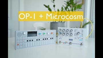 Hologram Microcosm & OP-1 Demo // an INSANE granular looper pedal for synths