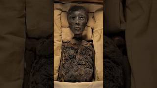 ليه لونوا تمثال توت عنخ آمون بالأسود                                                               سمعها