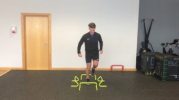 Multi-directional Hurdle Jumps Single Leg