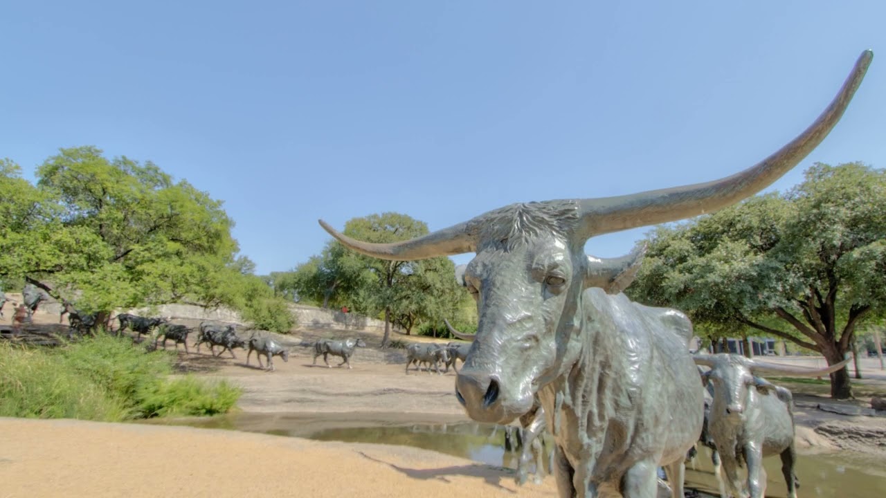 Forney Realtor: Flex Group Real Estate Agents Serving Forney, Terrell & Rockwall