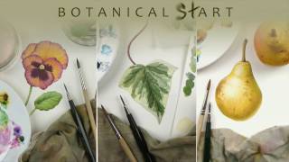 Watercolour techniques used for botanical art