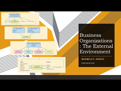 Business Organizations: The External Environment - YouTube