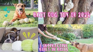 BEST Dog Toy of 2024 | Craig the Tough Hemp Caterpillar Dog Toy by Petique