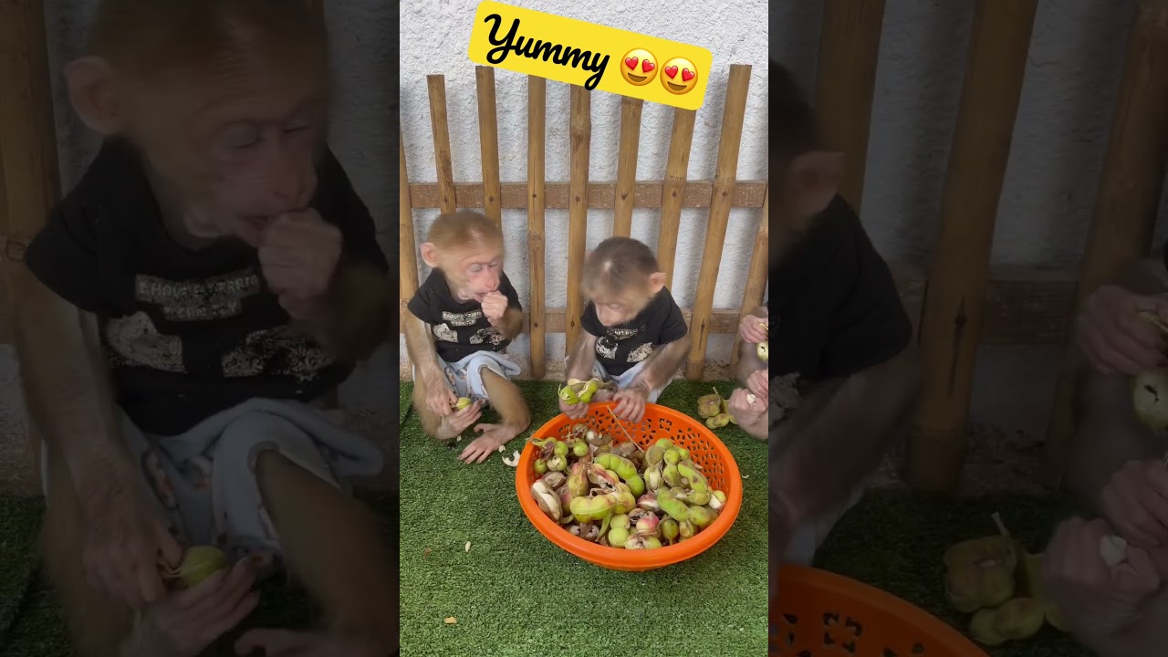 Yummy 🤤 with ploy family what kind of cake this fruit ??