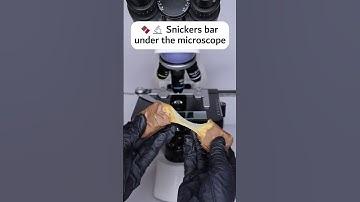 🍫 Snickers under the Microscope #microscope #underthemicroscope
