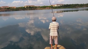 Táp là Dính   # câu cá mè hồ Đá dính hàng khủng