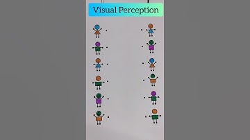 Visual Perception #visualperception #colors #shape #matching #shorts