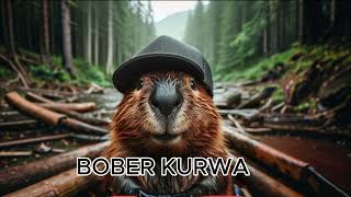 BOBER KURWA