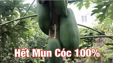 Cách Trị Mụn Cóc Tại Nhà Siêu Nhanh Hết 100%