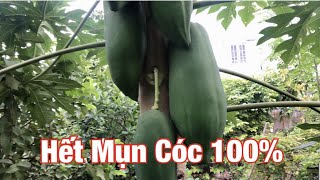 Cách Trị Mụn Cóc Tại Nhà Siêu Nhanh Hết 100%