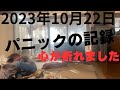 パニックの記録 パート7【2023年10月22日】心が折れた日