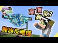 【Minecraft】穿越空島#80 高價💲💲又不划算的龍族反應爐｜我的世界【殞月】