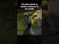 Oslík pojišťovák 😂😅. Jeden z mých prvních AI dabingů. #shrek #oslik #pojistovak #dabingovejnarez