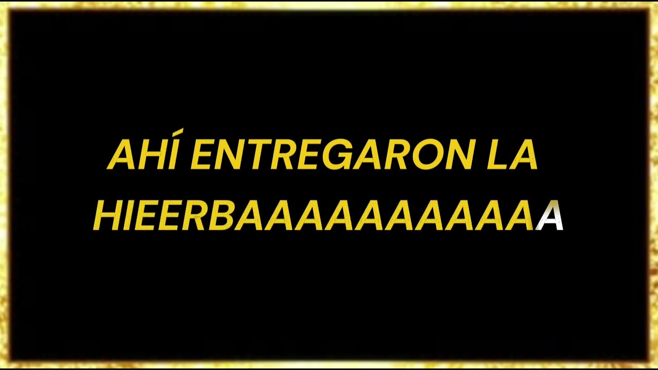 CONTRABANDO Y TRAICIÓN (Camelia La Texana) Tigres del Norte KARAOKE 🎤 Con 2a Voz