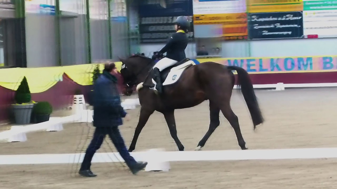 Hong Kong Jockey Club: Sarago Raphael @ Para Equestrian Dressage - YouTube