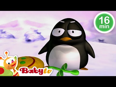 Play Together with Pim & Pimba the Penguins  🐧​🐧​ | Kids Cartoon 🤪​​ | @BabyTV​