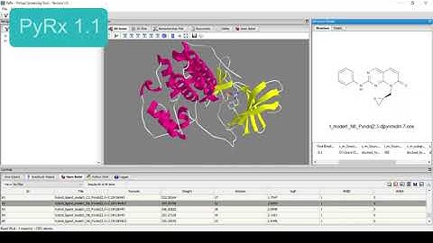 PyRx 1.1 New Features - Molecular Docking and Virtual Screening Software