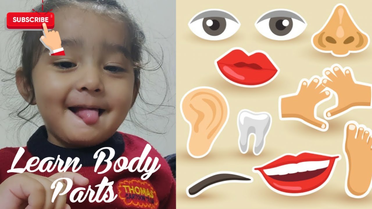Body parts for kids | learn body parts in English | Learn parts of body ...