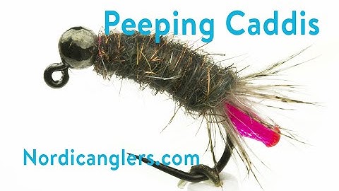 Fly Tying instruction on how to tie the Jig Peeping Caddis