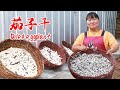 【陕北霞姐】菜园的茄子越结越多，霞姐摘1大盆晒茄子干，炖锅小炒肉拌饭吃，妹夫猛扒拉2大碗！