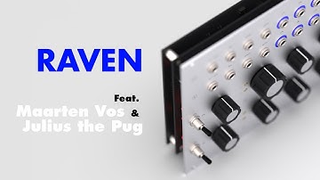 RAVEN x Kytopia pt. II