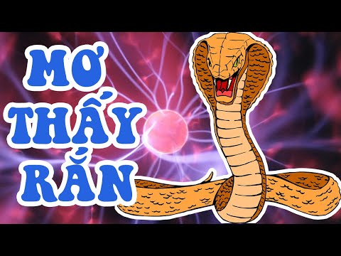 MƠ THẤY RẮN - GIẢI MÃ GIẤC MƠ THẤY RẮN THÌ ĐÁNH CON GÌ?