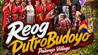 live jaranan reog putro budoyo ds Kedungjati Balongpanggang gresik