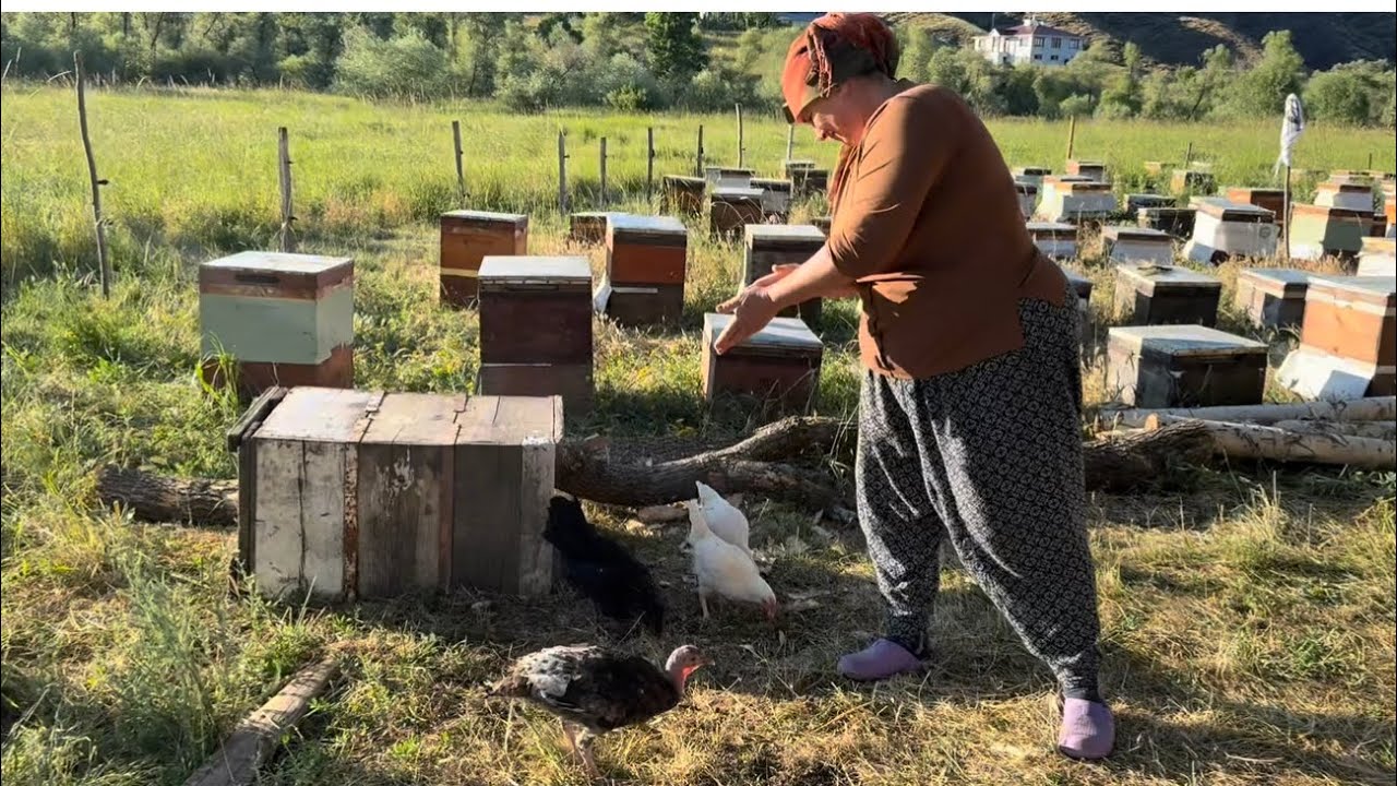 DOĞU KÖYÜNDE BİR GÜN 🌳 DEREDE BALIK AVI #doğudabirgün #memleketim #dağköyü #erzurum #doğa #balıkavı