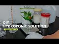 How to make your own hydroponic solution at home  diy hydroponic nutrients