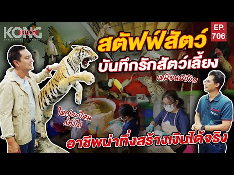 วีดีโอ: การสร้างธรรมชาติที่น่าทึ่ง - จิ้งจกที่มีชีวิตชีวา