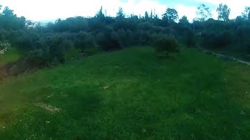 SK450 quadcopter rc911 firmware simonk esc acro mode