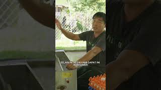 Macam Ni Rupanya Penternak Cuci Telur Itik #shorts