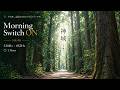 【528Hz&times;852Hz】動くために、静まる朝|深い森と湧水で心を整える1時間|Morning Switch ON vol.46