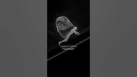 أجمل ما تسمع اليوم.. تلاوة تهزك