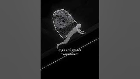 أجمل ما تسمع اليوم.. تلاوة تهزك