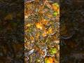 Kontomire stew #food