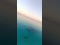 حالي يبكي قلبي بيشكي حالي يبكي قلبي بيشكي