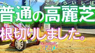 【芝生の更新作業】低刈り・根切り・サッチ取り/京セラ(旧リョービ)の電子芝刈機LM-2310＋根切り刃