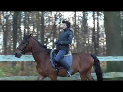 видео: Чем держаться на лошади? Почему я против "держаться коленом".