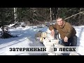 затерянный в лесах, таежный тупик.