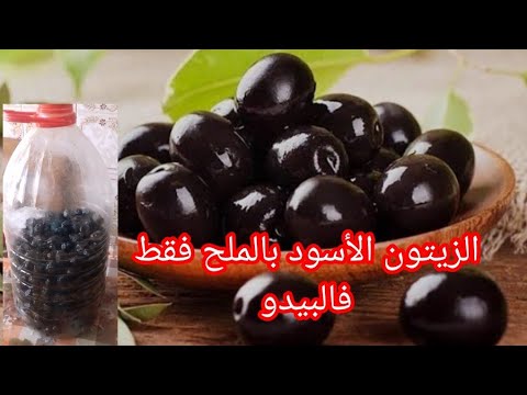 جيبي بيدو وتبعيني نحضرو الزيتون الأسود بالملح فقط بالطريقة التقليدية ويبقى لسنوات بلا مايفسد