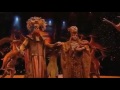 Circle of life    the lion king musical 